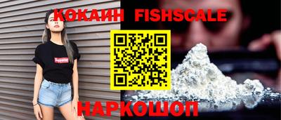 тгк Кингисепп