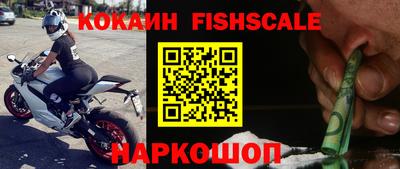 тгк Кингисепп