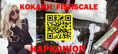 тгк Кингисепп