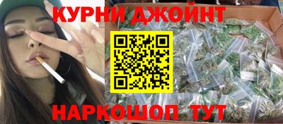 тгк Кингисепп