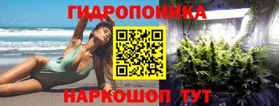 сатива Кинель