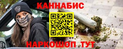 тгк Кингисепп