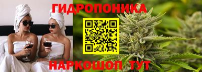 тгк Кингисепп