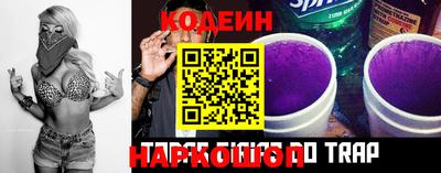 тгк Кингисепп