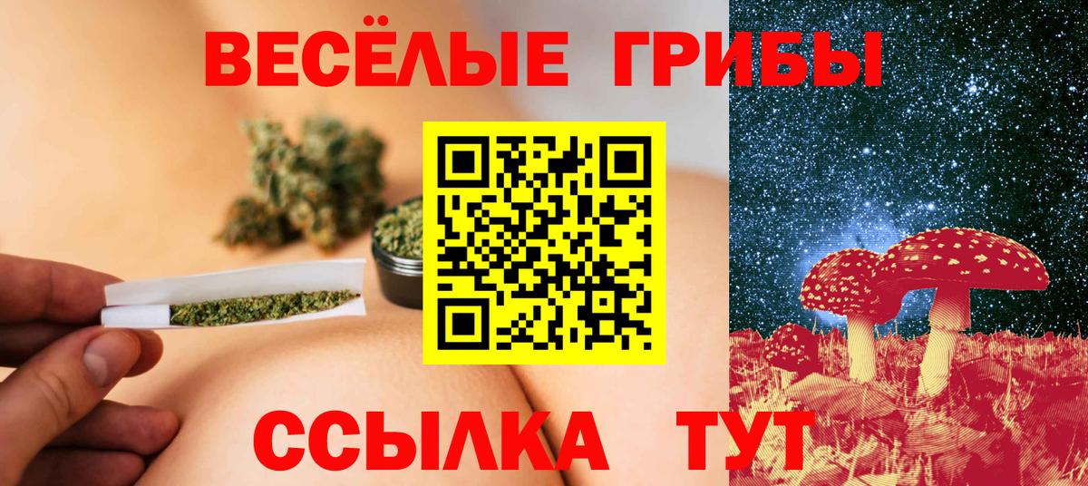 Галлюциногенные грибы прущие грибы  Галлюциногенные грибы Psilocybine cubensis  Щёлково  Вход с VPN 