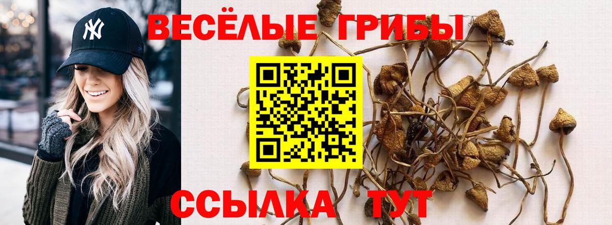 Галлюциногенные грибы прущие грибы Щёлково